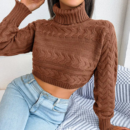 Women's Casual Long Sleeve High Neck Knit Sweater