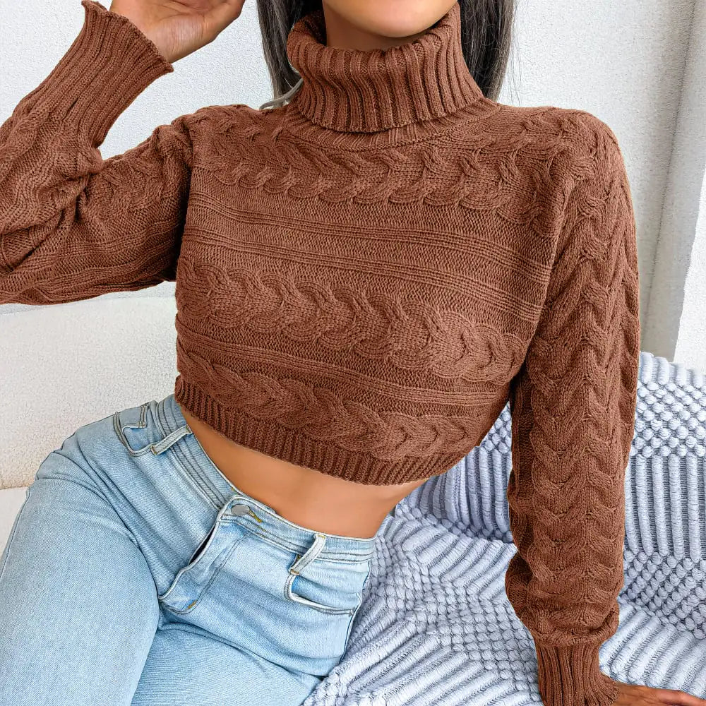 Women's Casual Long Sleeve High Neck Knit Sweater